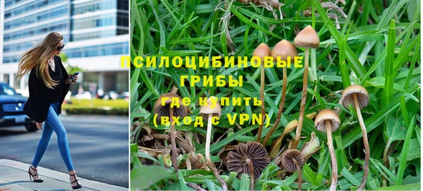 бошки Нефтекумск