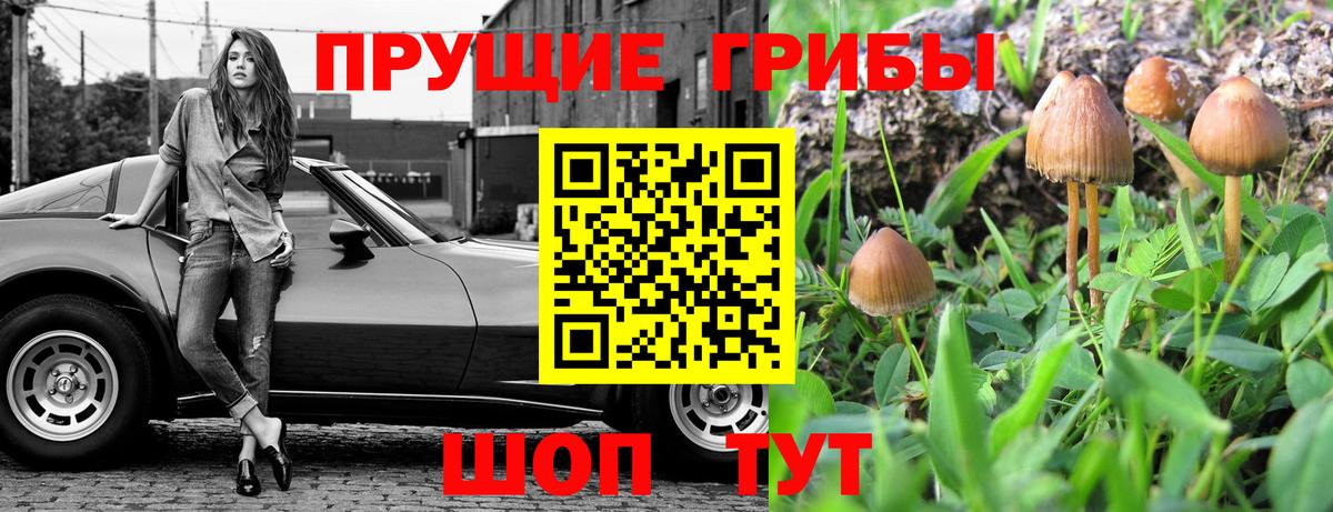 Галлюциногенные грибы Psilocybe  Псилоцибиновые грибы Cubensis  Хабаровск  даркнет сайт  Вход с VPN 
