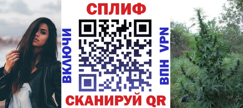 Каннабис OG Kush Хабаровск